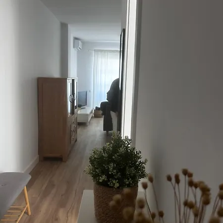 Family Apartment, Appartamento